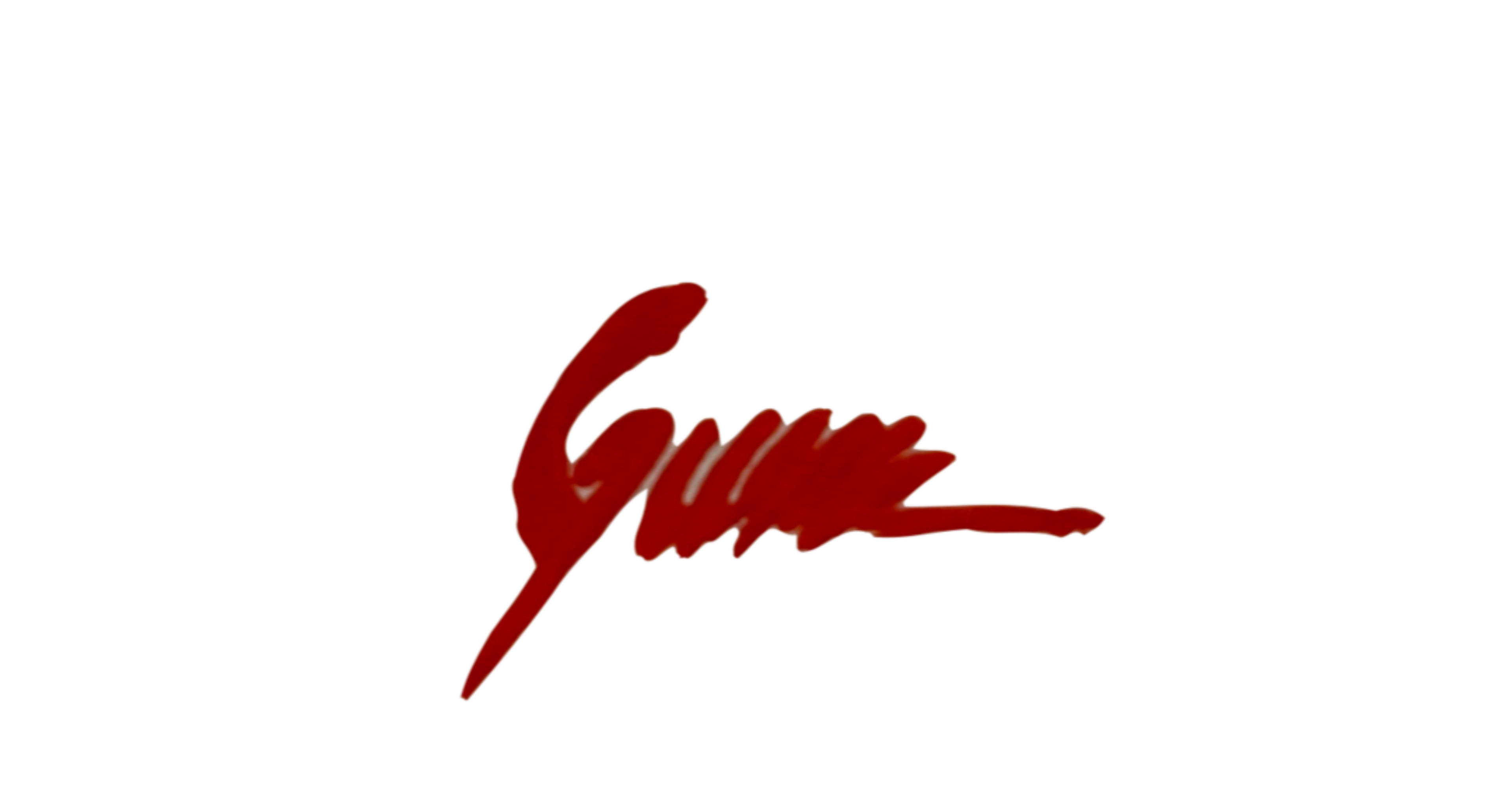 Esteban Guerra Studio